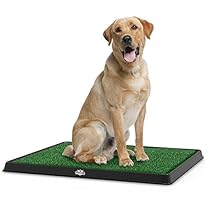 Petmaker Puppy Potty Trainer