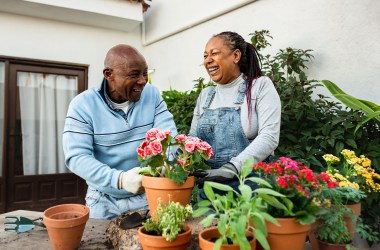 Gardening supplies are up to 30% off ahead of spring