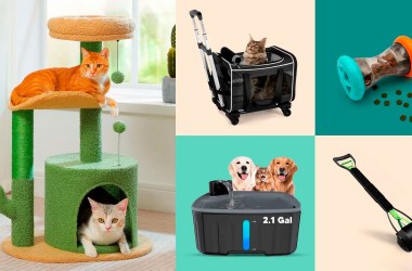 Pet products rule Walmart’s Flash Deals this week